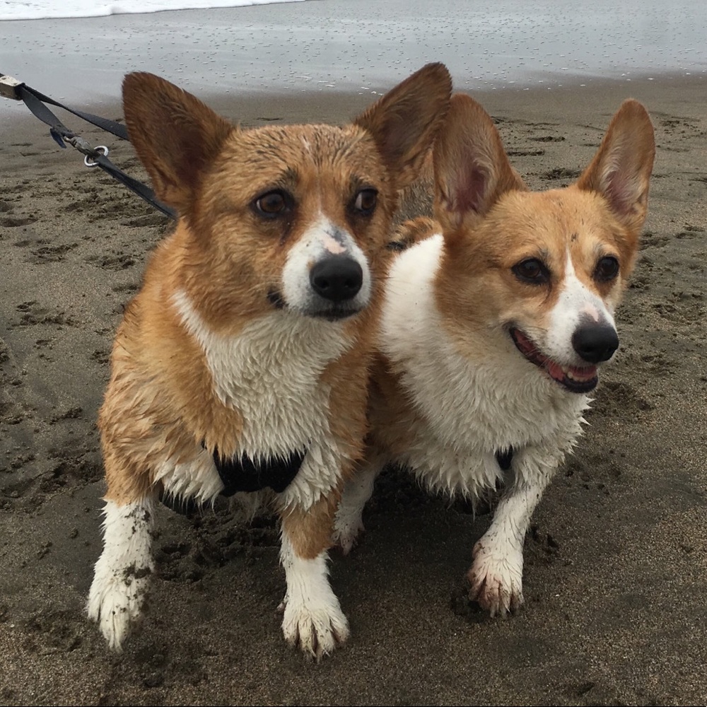 An online garage sale